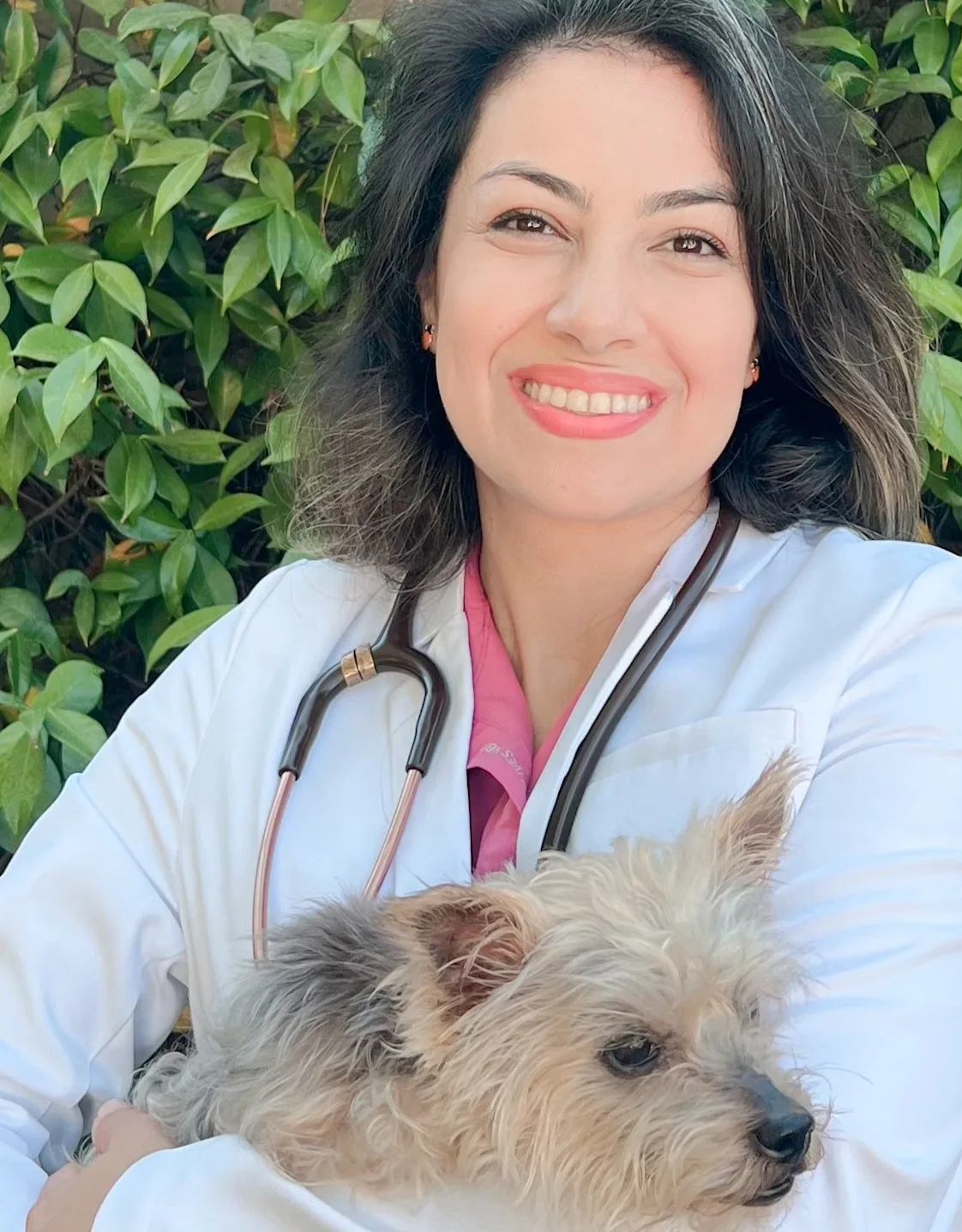 Dr. Hamideh Rahimi Dr. Hamideh Rahimi