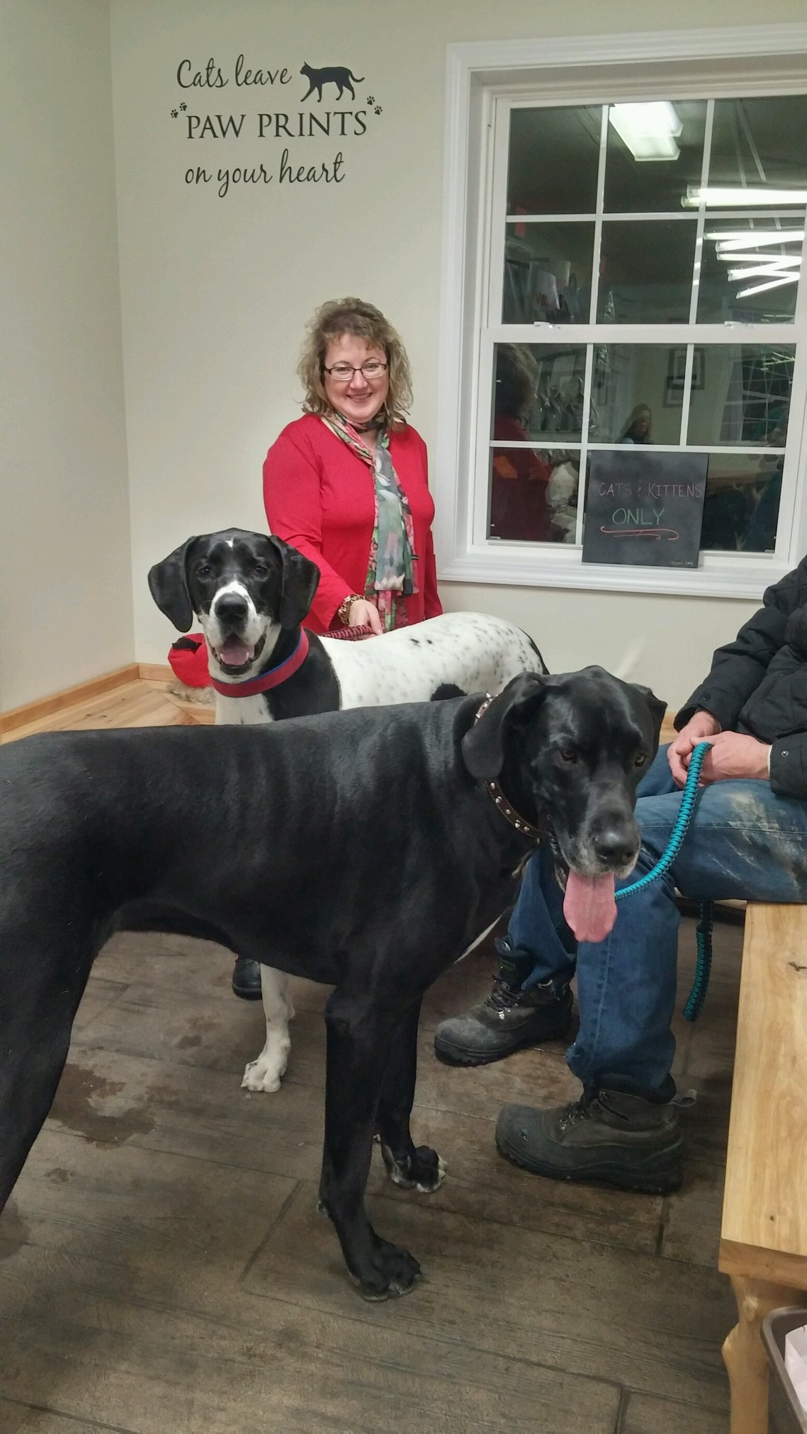 Waterville Veterinary Clinic Waiting area