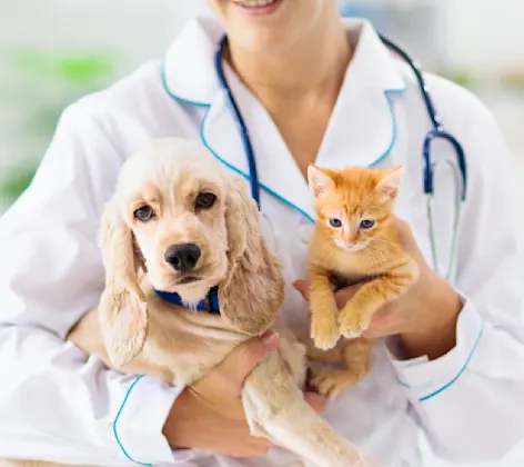 Dog and cat being held by staff member 