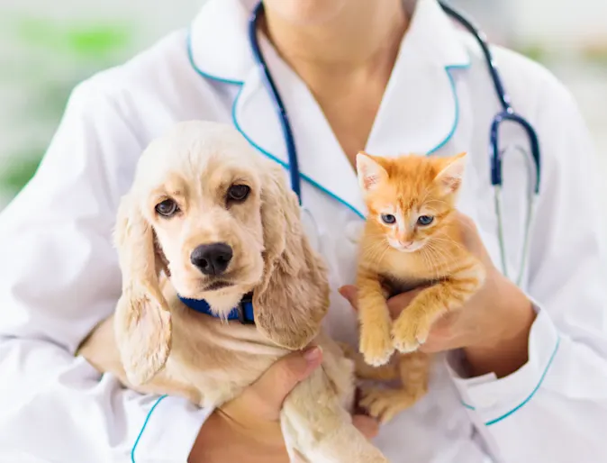 Dog and cat being held by staff member Dog and cat being held by staff member