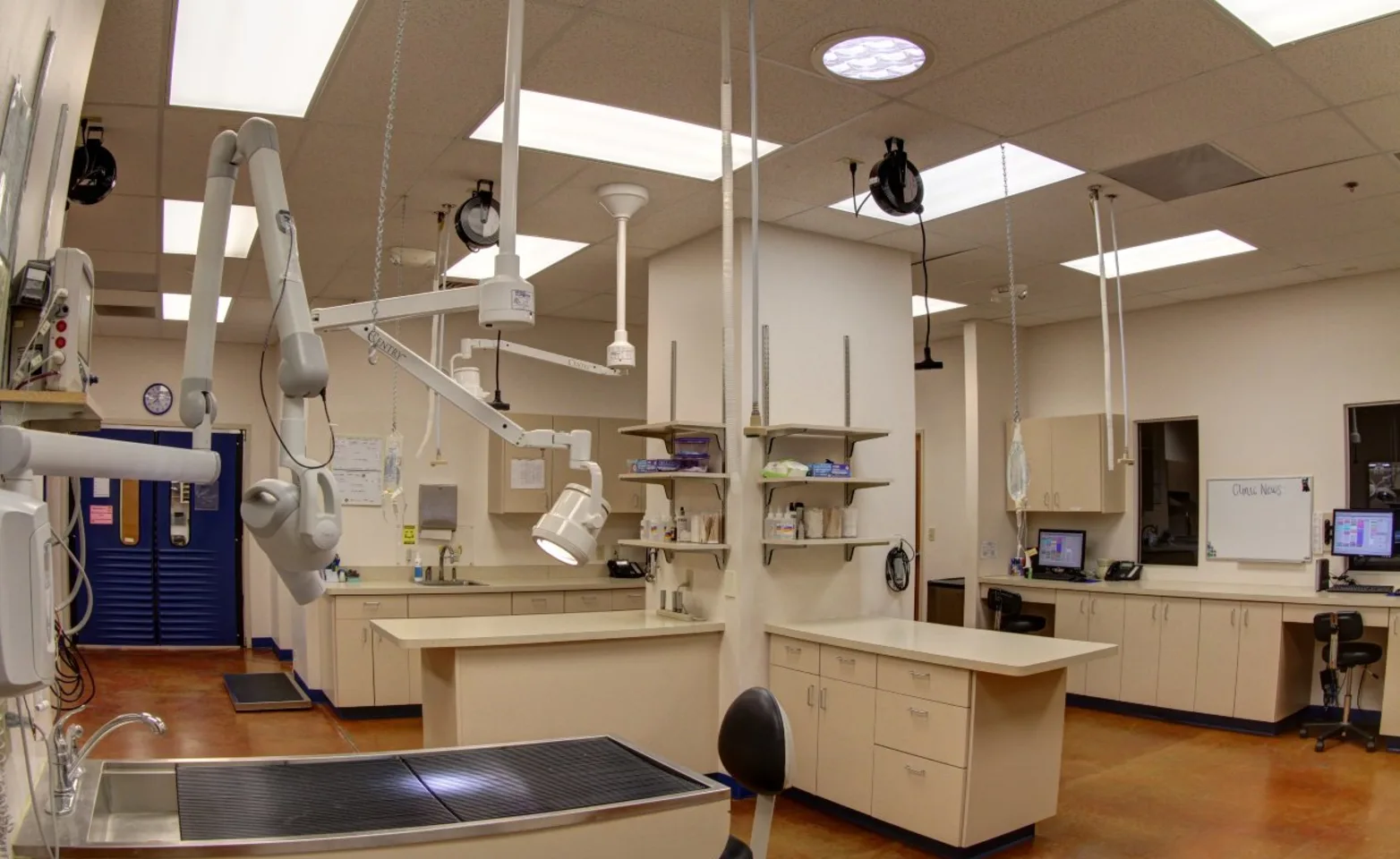Treatment area inside McClintock Treatment area inside McClintock