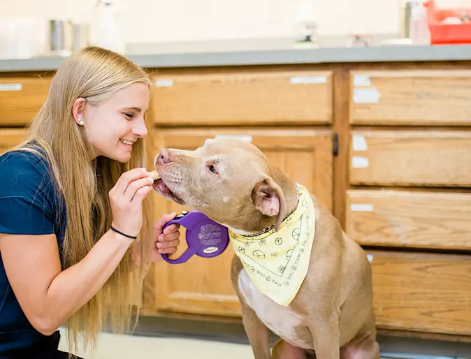 Staff with dog at Animal Emergency and Specialty Hospital of Grand Rapids Staff with dog at Animal Emergency and Specialty Hospital of Grand Rapids
