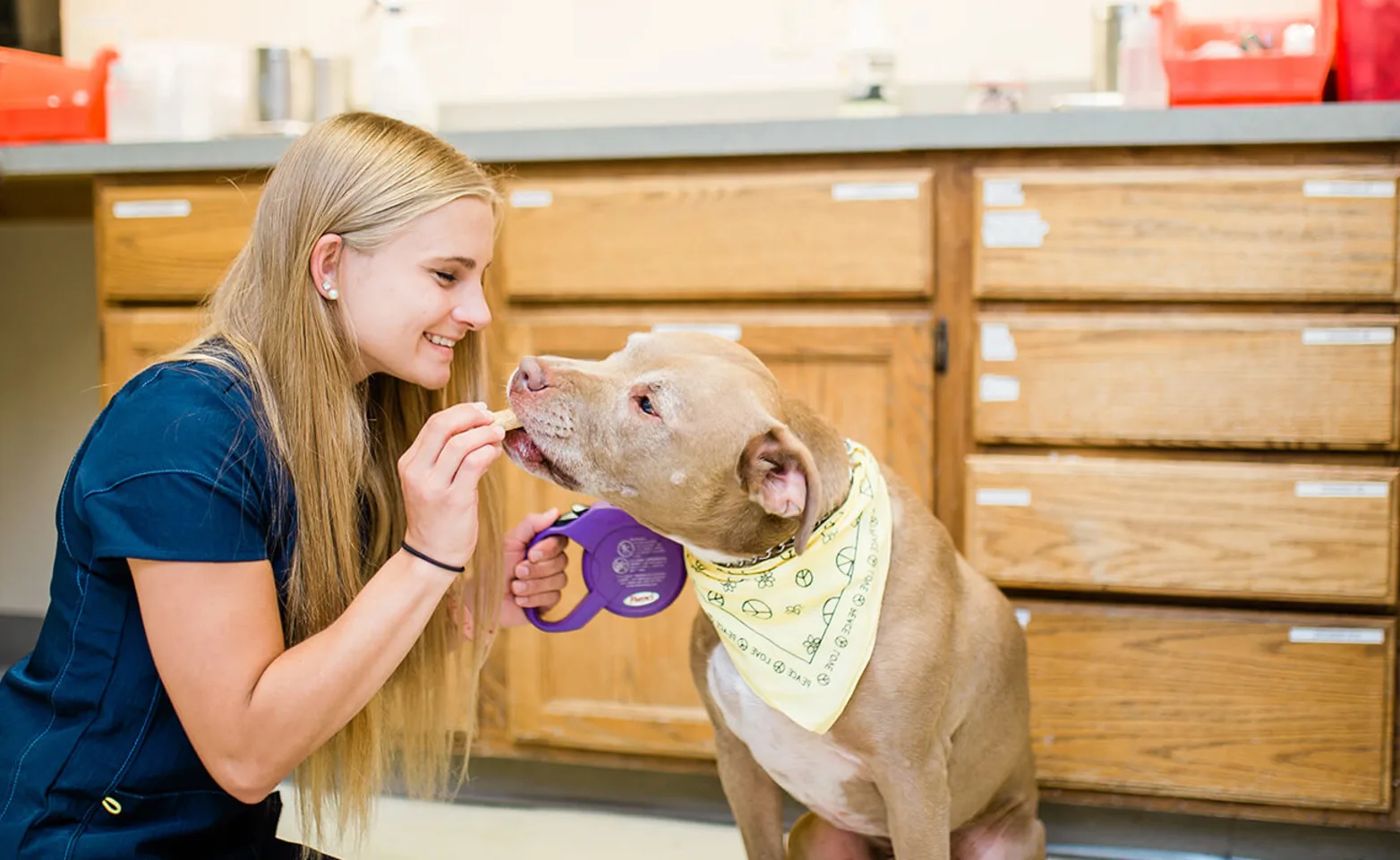 Staff with dog at Animal Emergency and Specialty Hospital of Grand Rapids