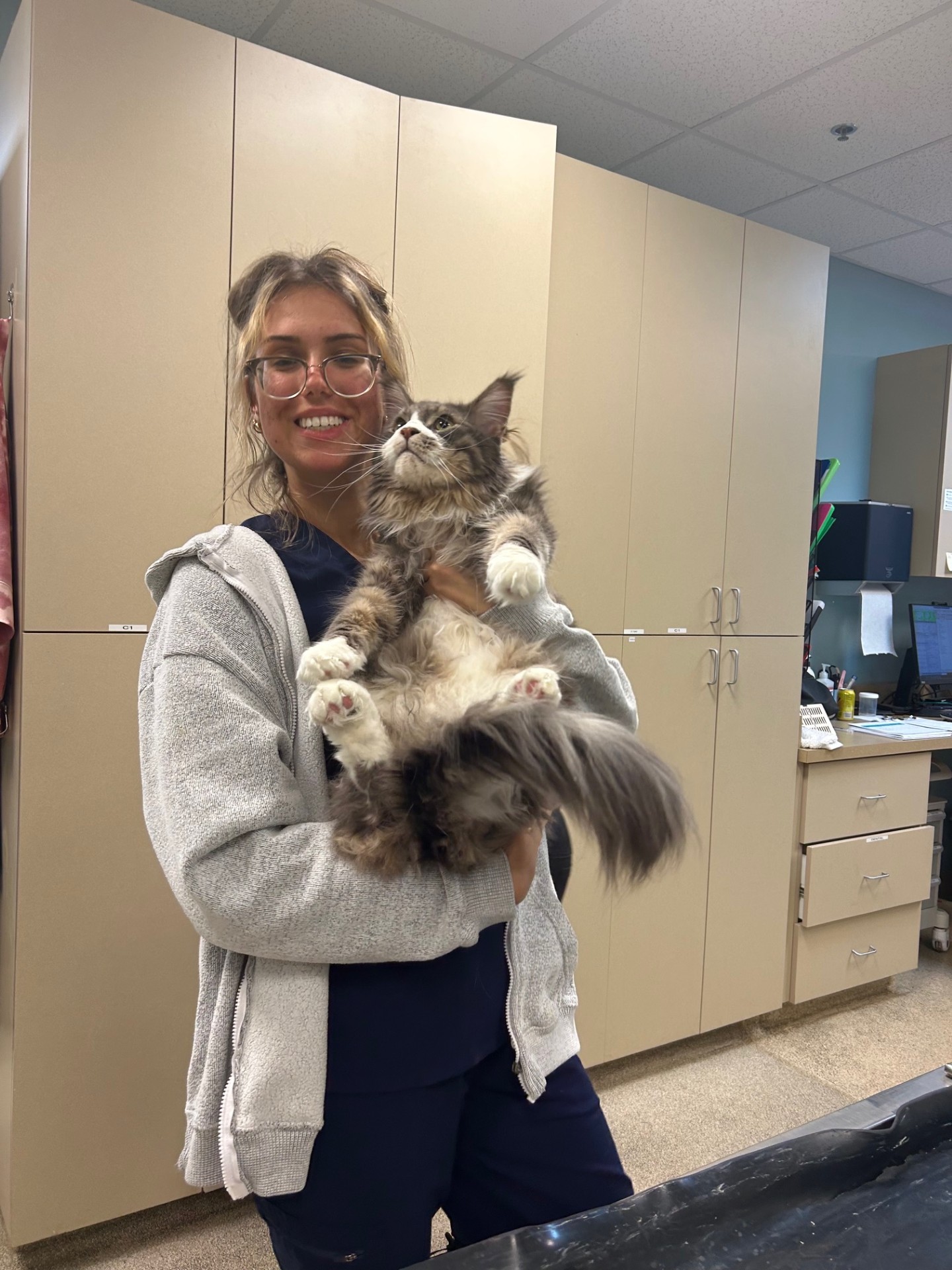 Staff member holding large cat