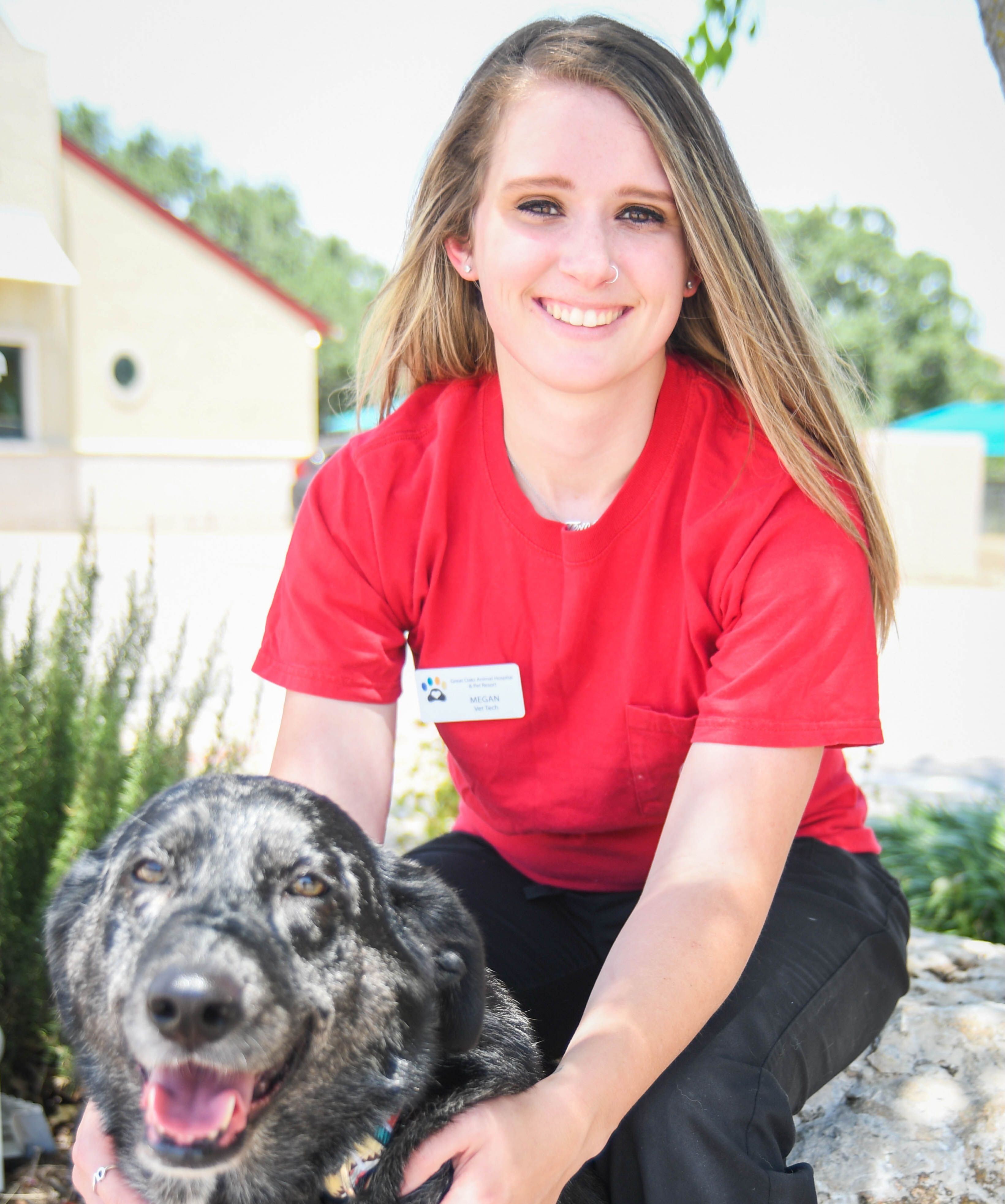 Spaying And Neutering Oregon City Low Cost Pet Spay And