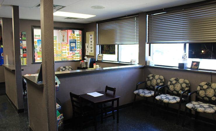 All Creatures (NY) Waiting Area