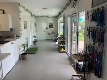 Reception area and desk at Vero Beach Veterinary Hospital