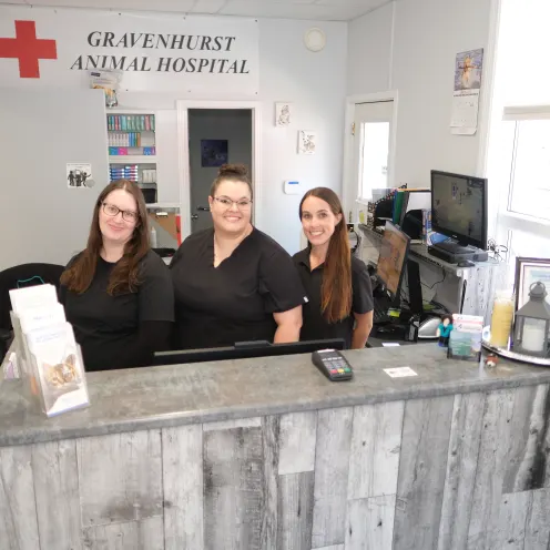 Animal Hospital Gravenhurst staff at the front desk