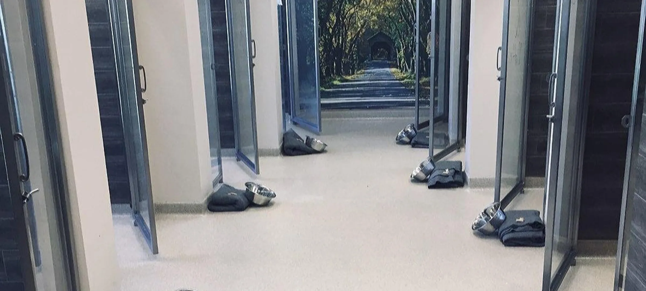 The Boarding Suites at Memorial Road Pet Hospital The Boarding Suites at Memorial Road Pet Hospital