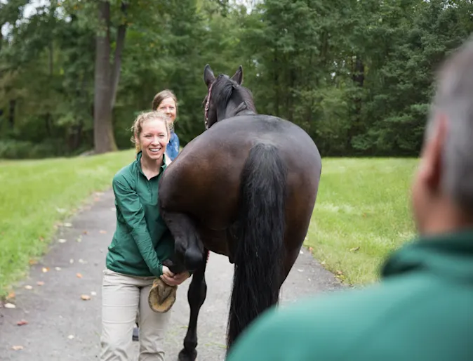 a vet holding a horse's backleg while looking at the camera a vet holding a horse's backleg while looking at the camera