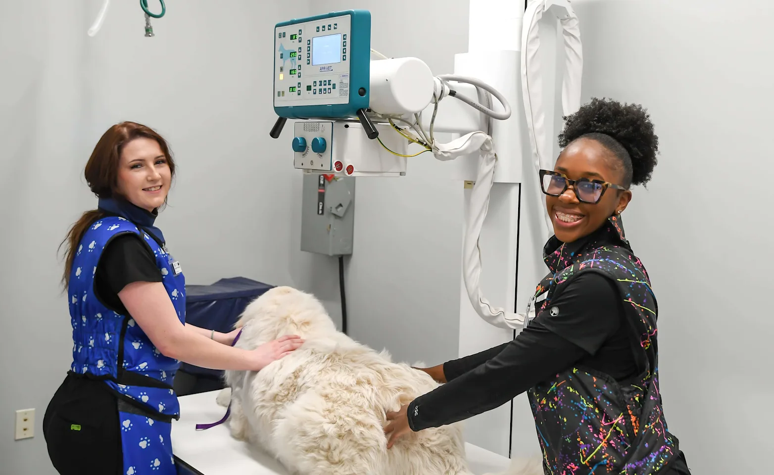 Dog getting an X-ray Dog getting an X-ray