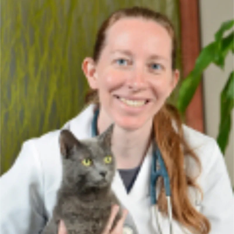 Dr. Mandy Luth Dr. Mandy Luth