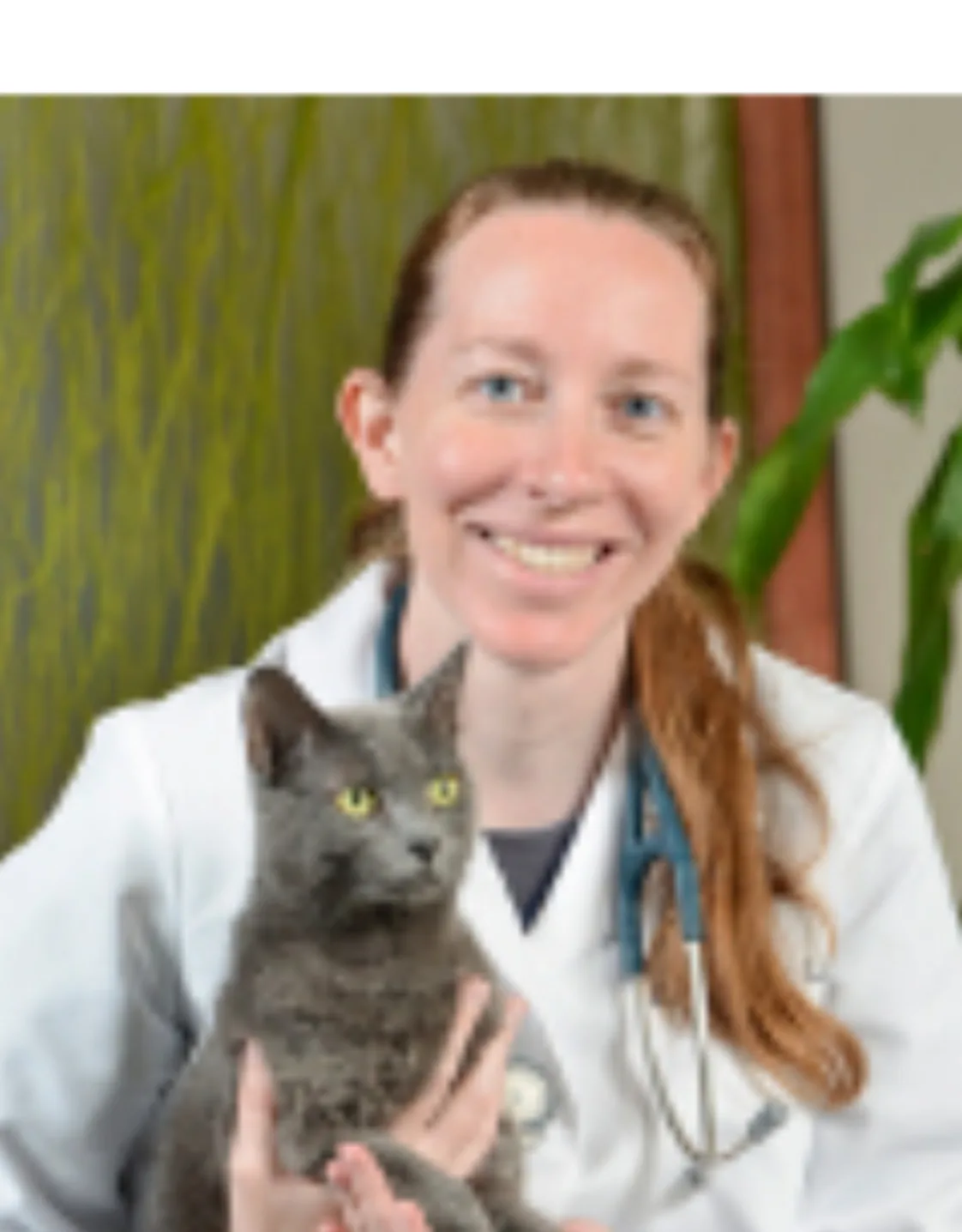 Dr. Mandy Luth Dr. Mandy Luth