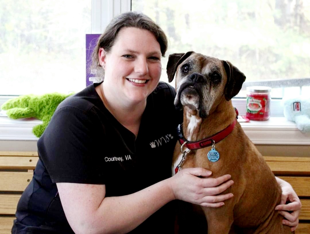 Williamstown Veterinary Services staff member, Courtney, with a dog