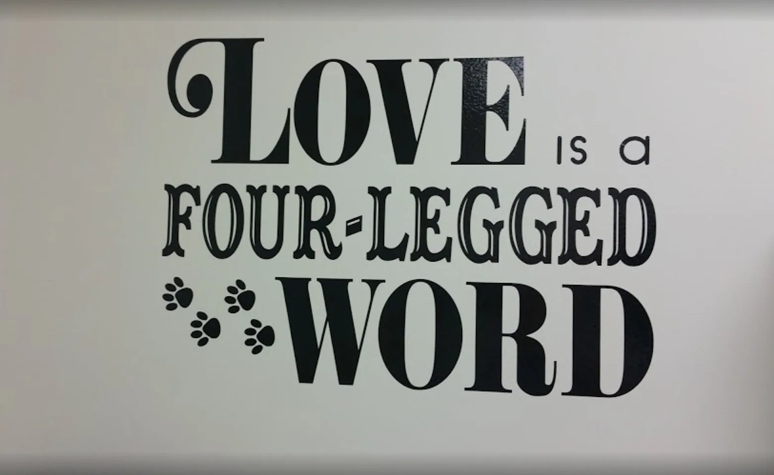 Wall with writing that says "Love is a four-legged word" Wall with writing that says "Love is a four-legged word"
