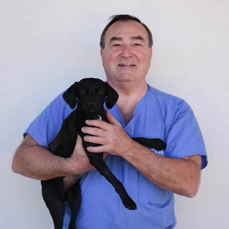 Siegfried Mayer with a black and white dog Siegfried Mayer with a black and white dog