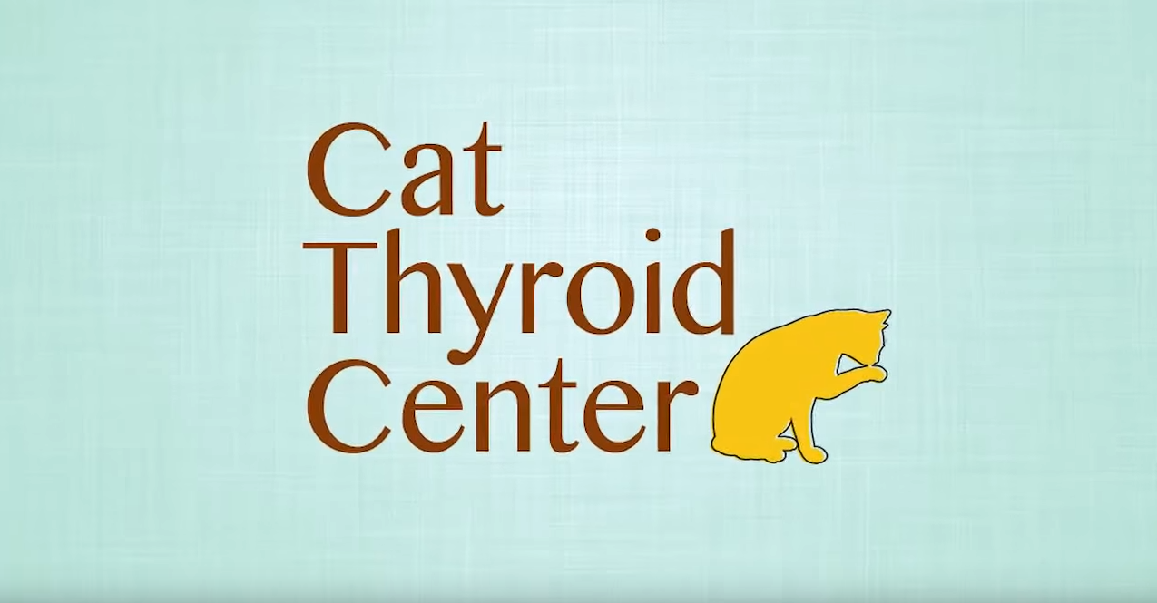 Cost of outlet cat thyroid medicine