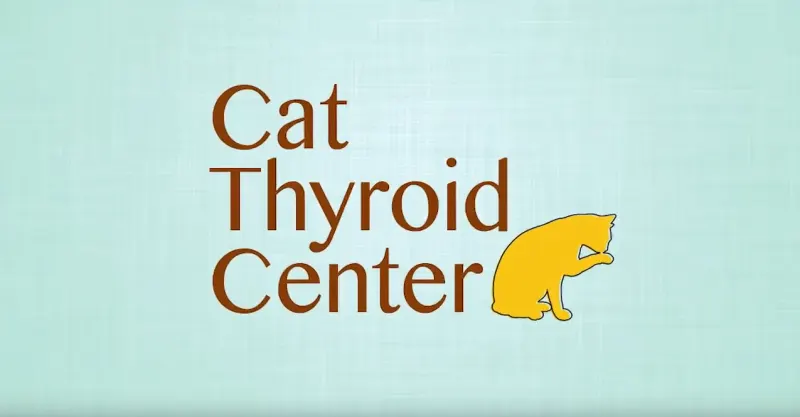 thyroid cat