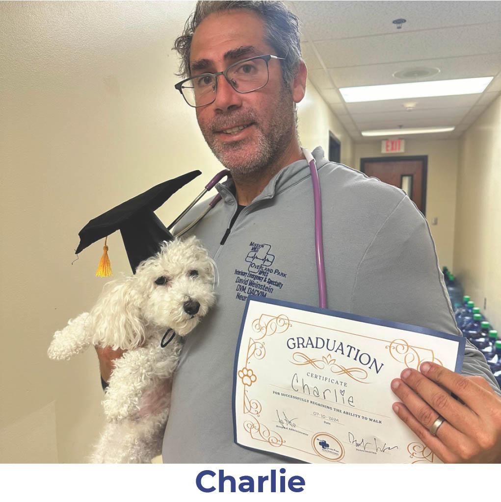 Charlie the dog with Neurology Graduate Hall of Fame certificate