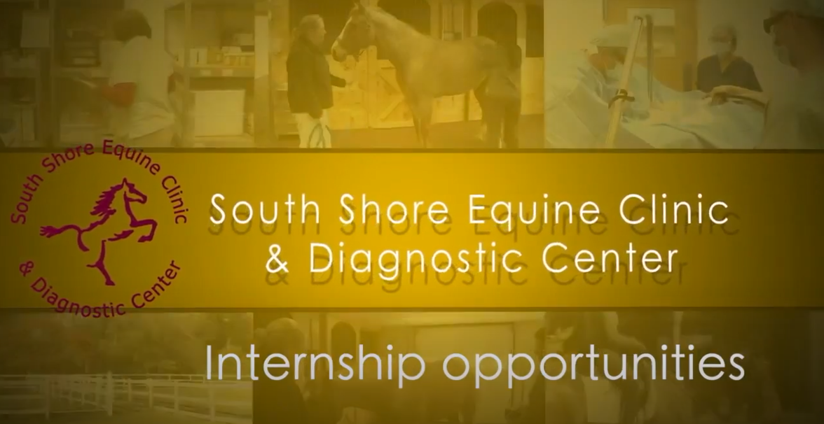 South Shore Equine Clinic & Diagnostic Center Video Internship