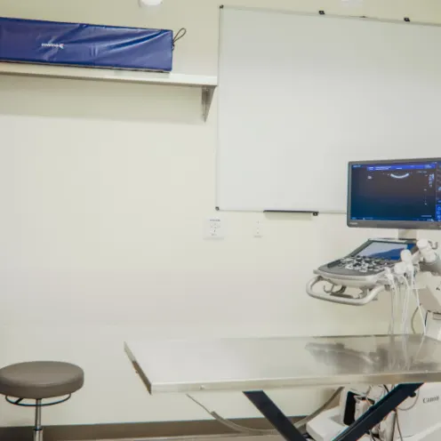 Ultrasound Area inside ARISE Veterinary Center - Queen Creek