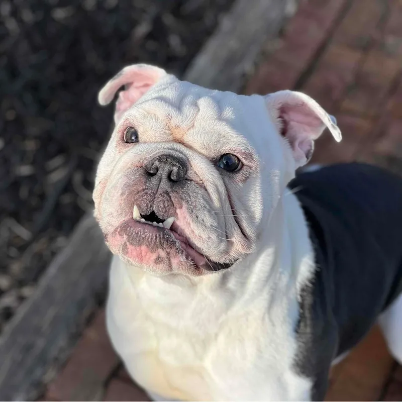 Kassandra Robbins Kassandra Robbins