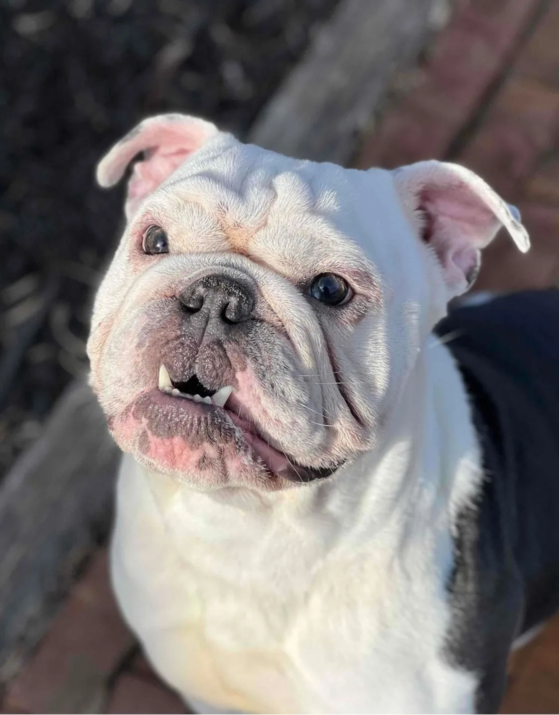 Kassandra Robbins Kassandra Robbins