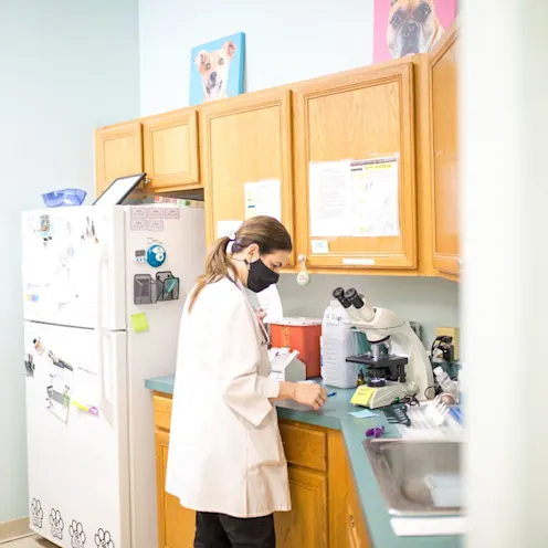 Dr. Basso at University Animal Hospital Orlando looking at slides. Dr. Basso at University Animal Hospital Orlando looking at slides.