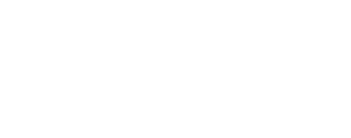 NVA Website Microsite Logo