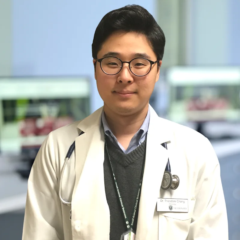 Dr. Chang from AERA Dr. Chang from AERA