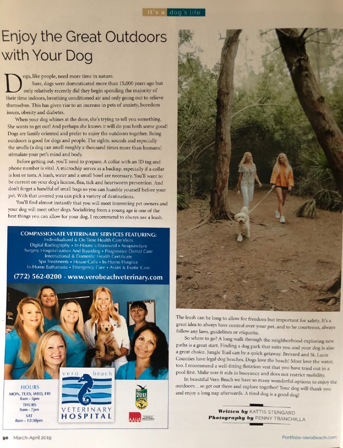 Enjoy the great outdoors with your dog article
