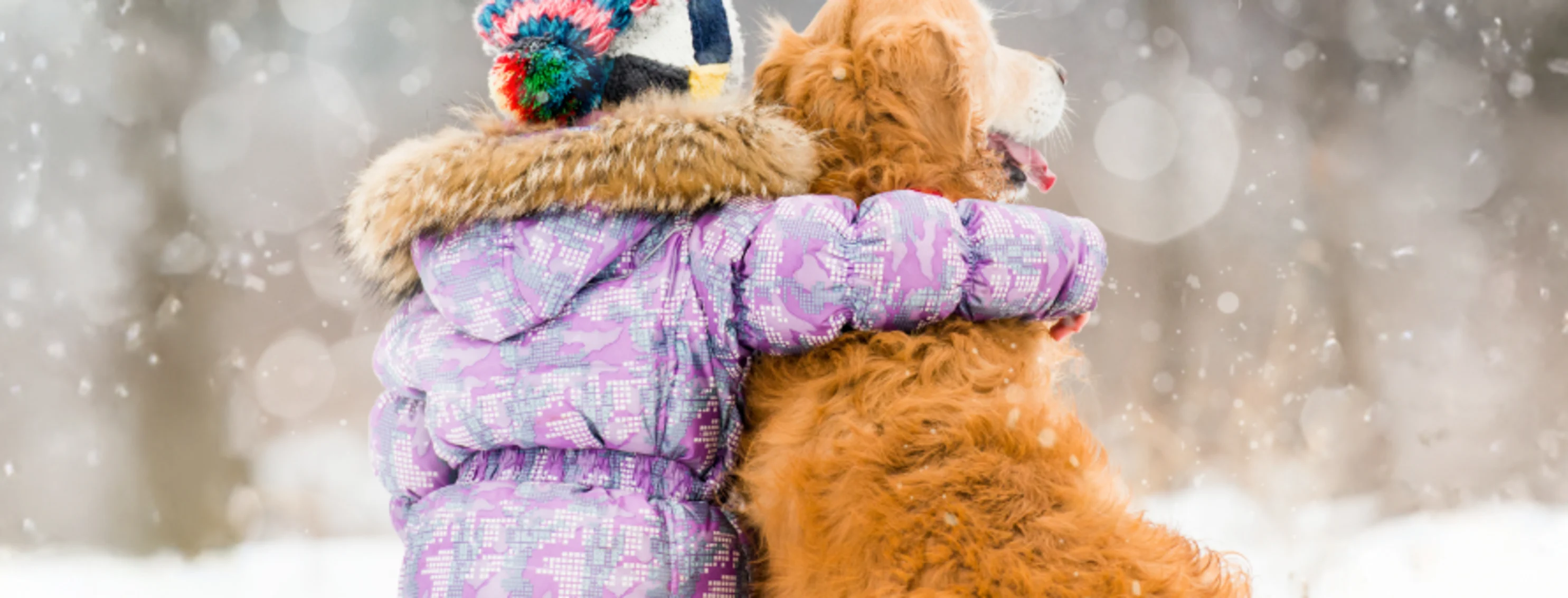 Girl Hugging Dog in the Snow Girl Hugging Dog in the Snow