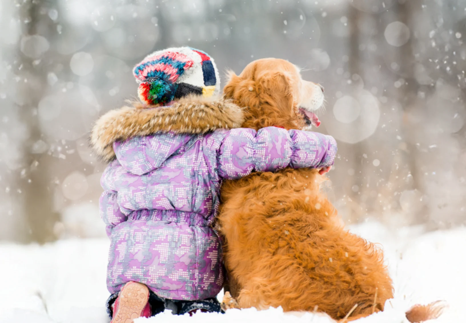 Girl Hugging Dog in the Snow Girl Hugging Dog in the Snow