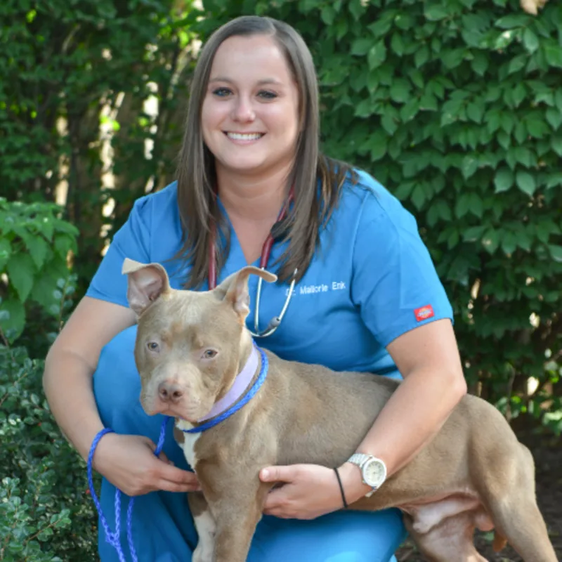 Dr. Mallorie Enk Dr. Mallorie Enk