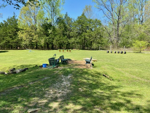 Dog park -green glass and green trees.