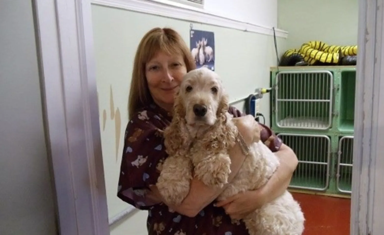 Staff holding a dog Staff holding a dog