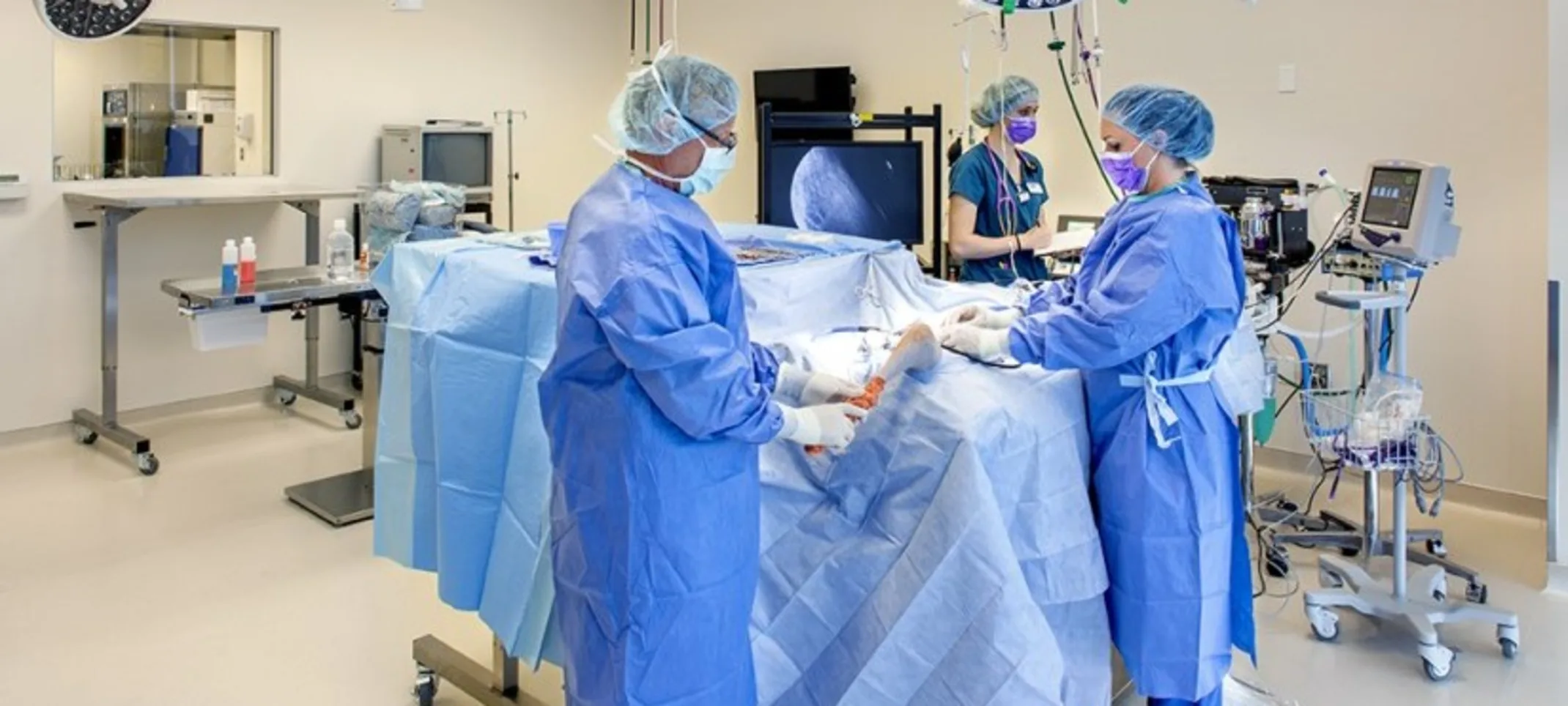 Group of veterinarians performing surgery on a covered pet Group of veterinarians performing surgery on a covered pet