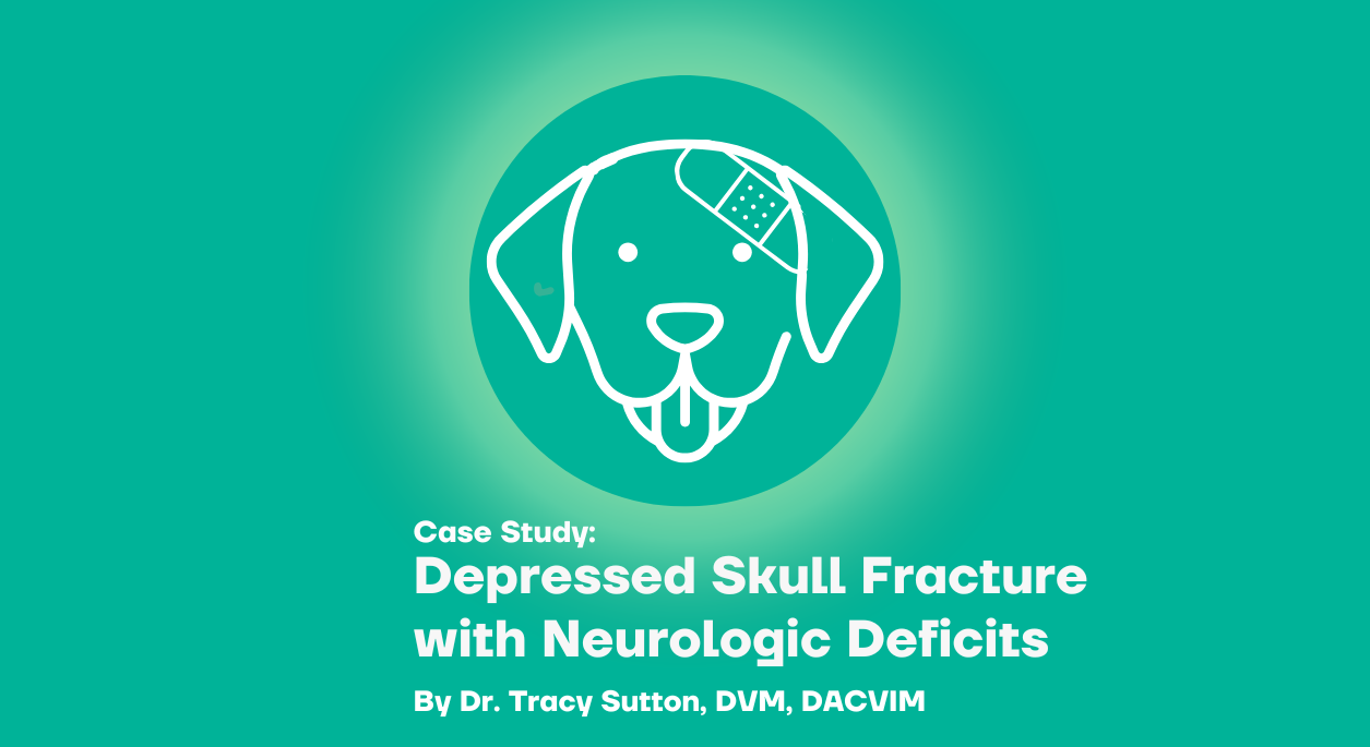 Depressed Skull Fracture with Neurologic Deficits