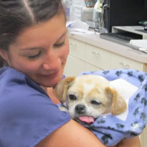 One of our veterinary technicians tending to a dog at Care Animal Hospital