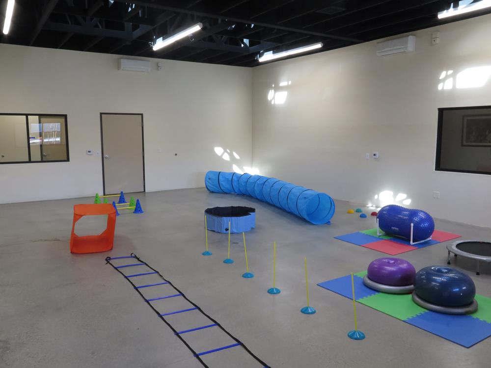 A training room with toys displayed around the room. 