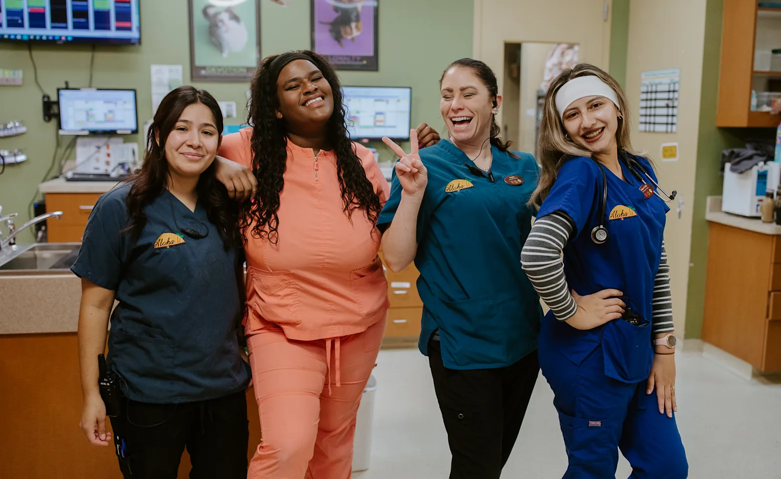 A group of veterinary technicians posing together in a veterinary clinic A group of veterinary technicians posing together in a veterinary clinic