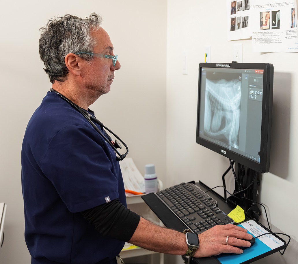 Dr. Berger reading x-rays