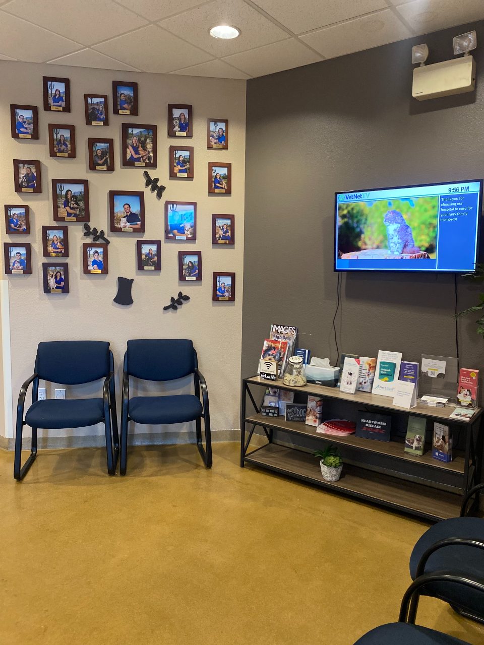 Waiting area with many photo frames on the white wall.