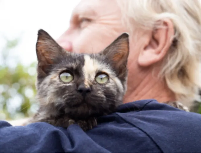 A man holding a black cat with a yellow spot A man holding a black cat with a yellow spot