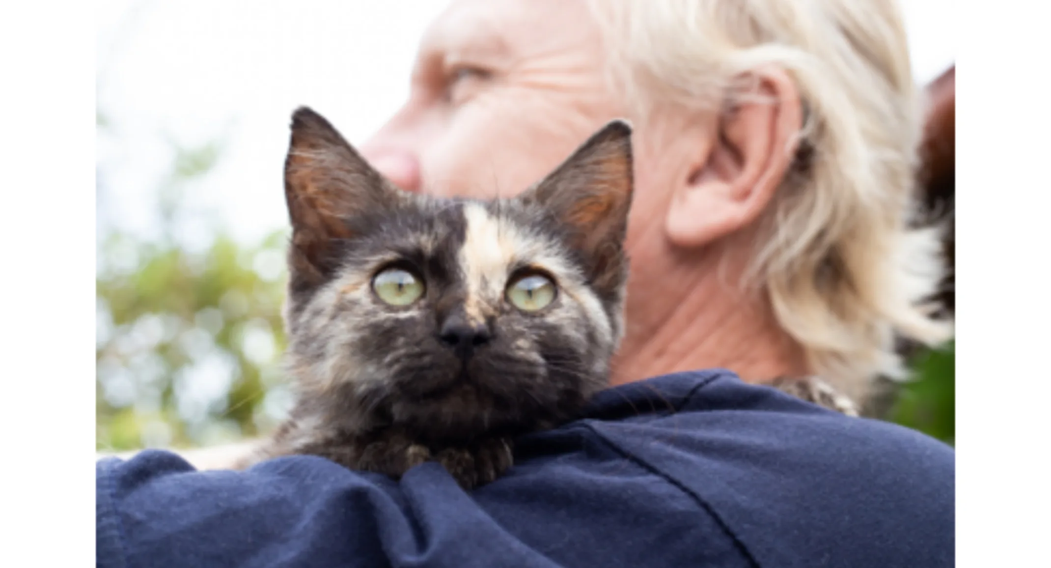 A man holding a black cat with a yellow spot A man holding a black cat with a yellow spot