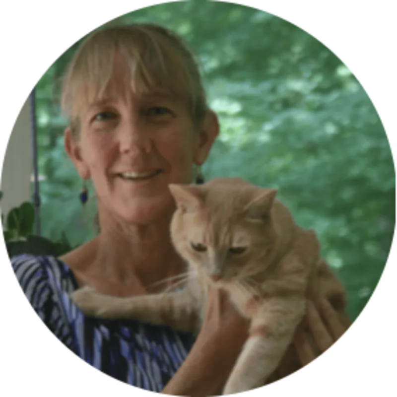 Dr. Ann MacCormac Dr. Ann MacCormac