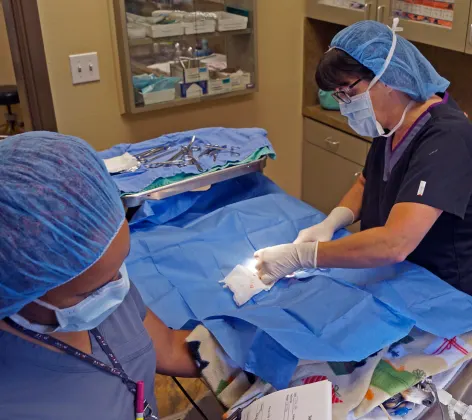 staff administering a surgery 