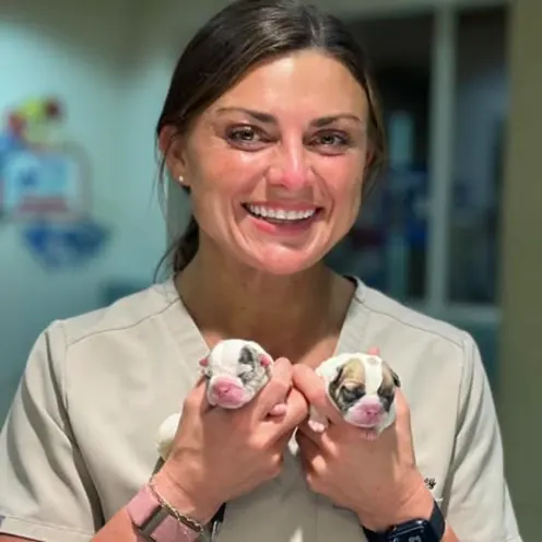 Staff Member Holding 2 Newborn Puppies Staff Member Holding 2 Newborn Puppies