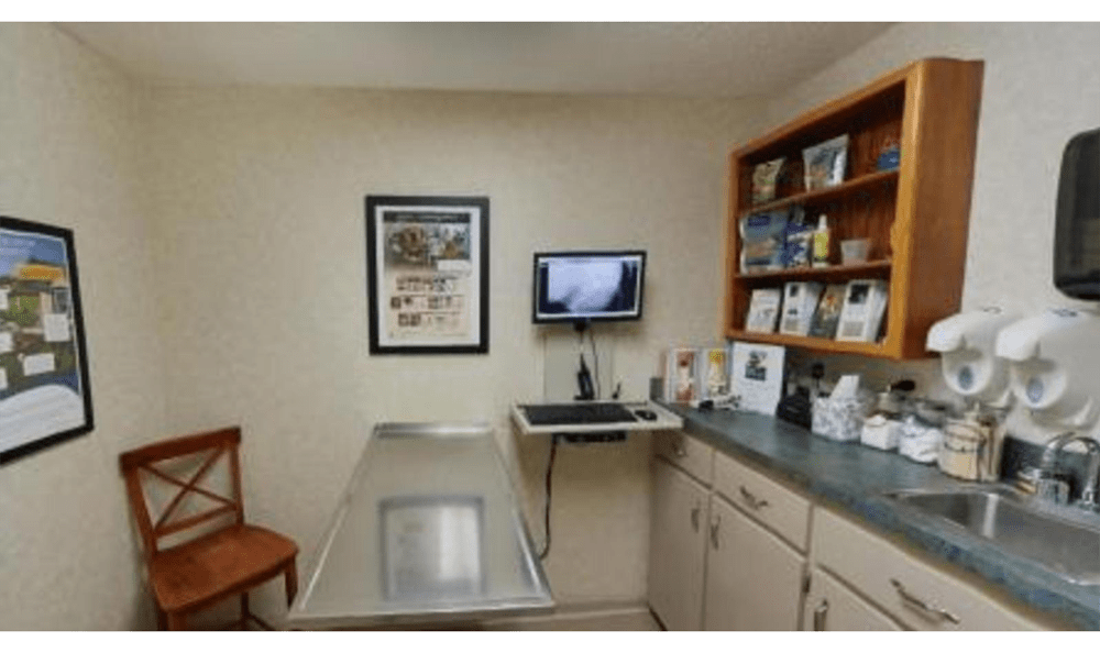 Princess Anne Veterinary Hospital Exam Room