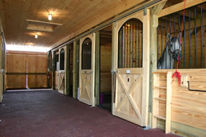 All areas throughout the barns and hospital are reinforced with rubber flooring for the safety of our patients.